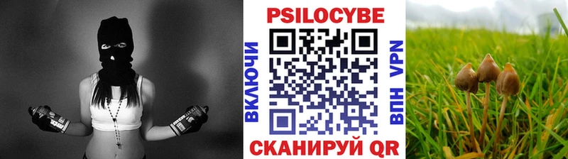 omg рабочий сайт  Новоульяновск  Псилоцибиновые грибы MAGIC MUSHROOMS 